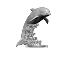 Dolphins Wizkids